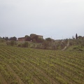 Tuscany146